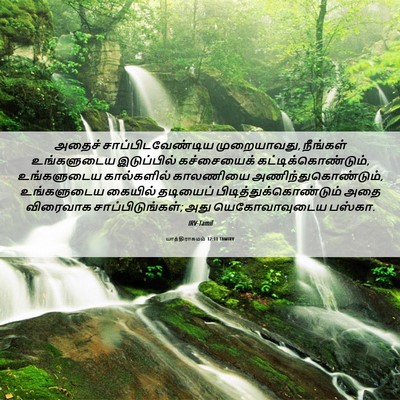 Picture 06 - யாத்திராகமம் 12:11 TAMIRV - அதைச் - Bible Verse Picture