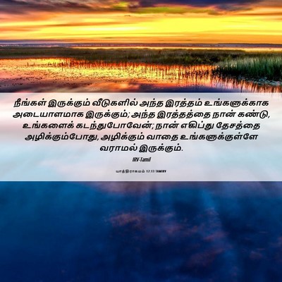 Picture 06 - யாத்திராகமம் 12:13 TAMIRV - நீங்கள் இருக்கும் - Bible Verse Picture