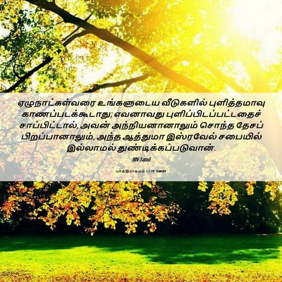 Picture 06 - யாத்திராகமம் 12:19 TAMIRV - ஏழுநாட்கள்வரை - Bible Verse Picture
