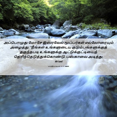 Picture 06 - யாத்திராகமம் 12:21 TAMIRV - அப்பொழுது மோசே - Bible Verse Picture