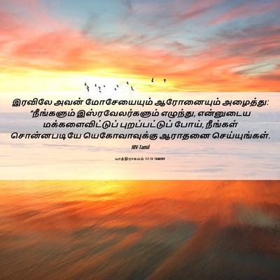 Picture 06 - யாத்திராகமம் 12:31 TAMIRV - இரவிலே அவன் - Bible Verse Picture