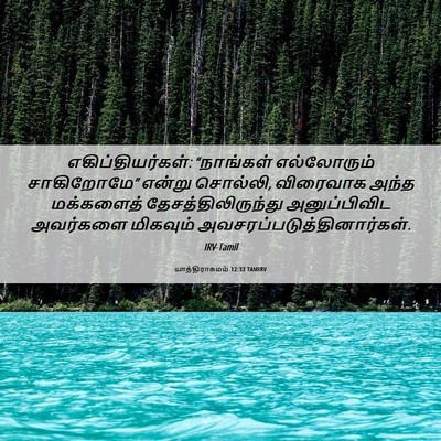 Picture 06 - யாத்திராகமம் 12:33 TAMIRV - எகிப்தியர்கள்: - Bible Verse Picture