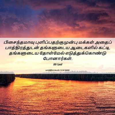 Picture 06 - யாத்திராகமம் 12:34 TAMIRV - பிசைந்தமாவு - Bible Verse Picture