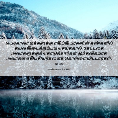 Picture 06 - யாத்திராகமம் 12:36 TAMIRV - யெகோவா மக்களுக்கு - Bible Verse Picture