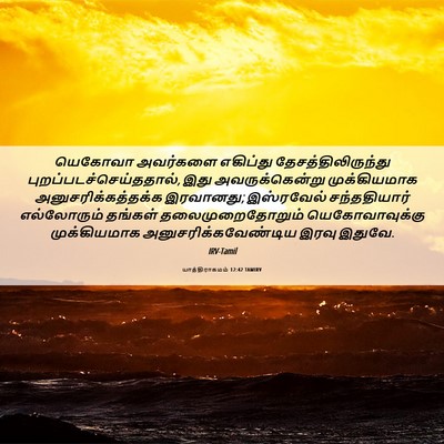 Picture 06 - யாத்திராகமம் 12:42 TAMIRV - யெகோவா அவர்களை - Bible Verse Picture