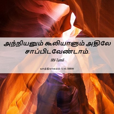 Picture 06 - யாத்திராகமம் 12:45 TAMIRV - அந்நியனும் - Bible Verse Picture