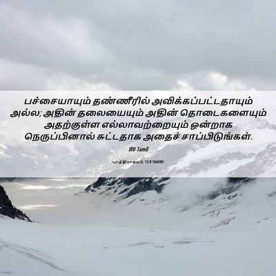 Picture 06 - யாத்திராகமம் 12:9 TAMIRV - பச்சையாயும் - Bible Verse Picture