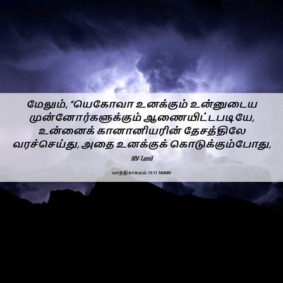 Picture 06 - யாத்திராகமம் 13:11 TAMIRV - மேலும், “யெகோவா - Bible Verse Picture