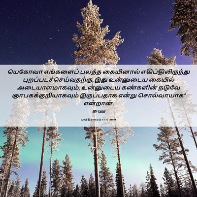 Picture 06 - யாத்திராகமம் 13:16 TAMIRV - யெகோவா எங்களைப் - Bible Verse Picture
