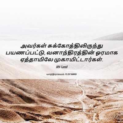Picture 06 - யாத்திராகமம் 13:20 TAMIRV - அவர்கள் - Bible Verse Picture