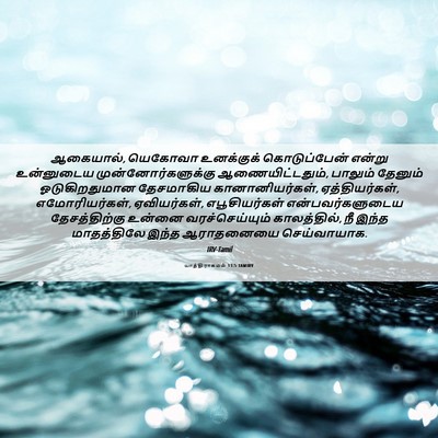 Picture 06 - யாத்திராகமம் 13:5 TAMIRV - ஆகையால், யெகோவா - Bible Verse Picture
