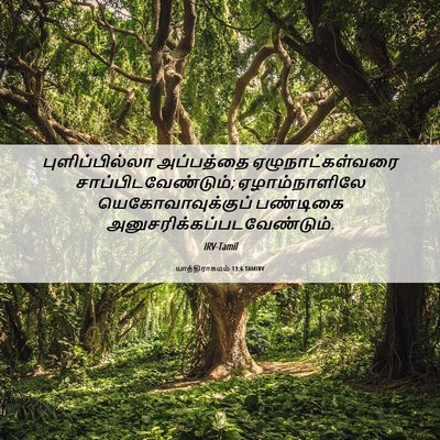 Picture 06 - யாத்திராகமம் 13:6 TAMIRV - புளிப்பில்லா - Bible Verse Picture