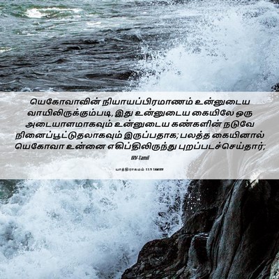 Picture 06 - யாத்திராகமம் 13:9 TAMIRV - யெகோவாவின் - Bible Verse Picture