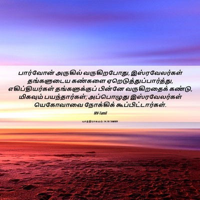Picture 06 - யாத்திராகமம் 14:10 TAMIRV - பார்வோன் அருகில் - Bible Verse Picture