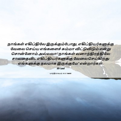 Picture 06 - யாத்திராகமம் 14:12 TAMIRV - நாங்கள் எகிப்திலே - Bible Verse Picture