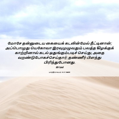 Picture 06 - யாத்திராகமம் 14:21 TAMIRV - மோசே தன்னுடைய - Bible Verse Picture