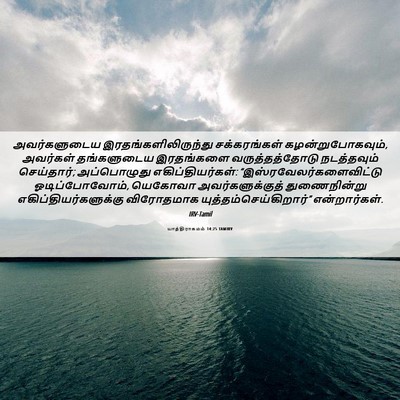 Picture 06 - யாத்திராகமம் 14:25 TAMIRV - அவர்களுடைய - Bible Verse Picture