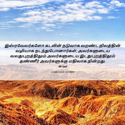 Picture 06 - யாத்திராகமம் 14:29 TAMIRV - இஸ்ரவேலர்களோ - Bible Verse Picture