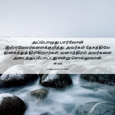 Picture 06 - யாத்திராகமம் 14:3 TAMIRV - அப்பொழுது - Bible Verse Picture