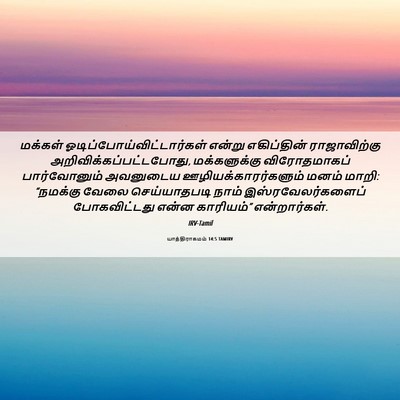 Picture 06 - யாத்திராகமம் 14:5 TAMIRV - மக்கள் - Bible Verse Picture