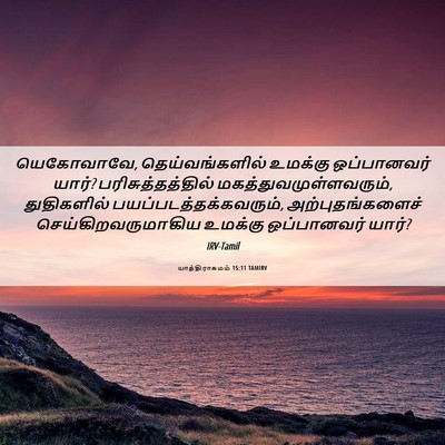 Picture 06 - யாத்திராகமம் 15:11 TAMIRV - யெகோவாவே, - Bible Verse Picture