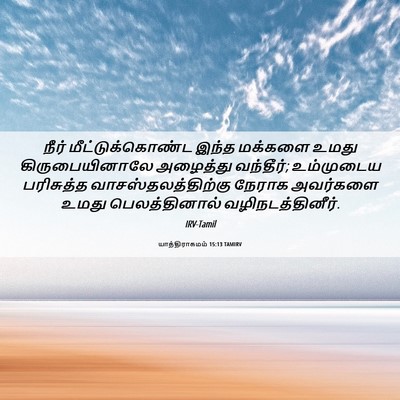 Picture 06 - யாத்திராகமம் 15:13 TAMIRV - நீர் - Bible Verse Picture