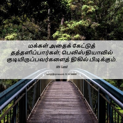 Picture 06 - யாத்திராகமம் 15:14 TAMIRV - மக்கள் அதைக் - Bible Verse Picture