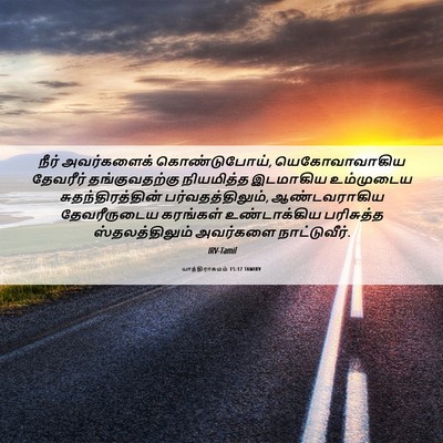Picture 06 - யாத்திராகமம் 15:17 TAMIRV - நீர் அவர்களைக் - Bible Verse Picture