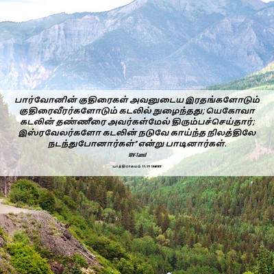 Picture 06 - யாத்திராகமம் 15:19 TAMIRV - பார்வோனின் - Bible Verse Picture