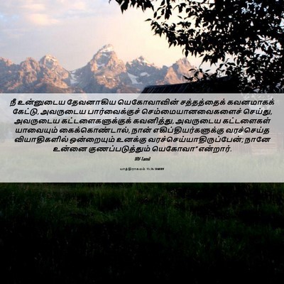 Picture 06 - யாத்திராகமம் 15:26 TAMIRV - நீ உன்னுடைய - Bible Verse Picture