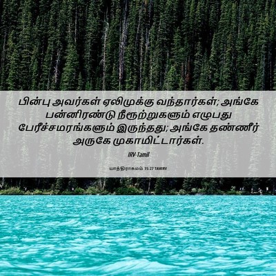 Picture 06 - யாத்திராகமம் 15:27 TAMIRV - பின்பு அவர்கள் - Bible Verse Picture