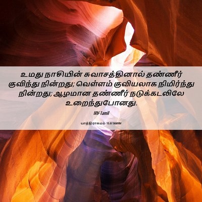 Picture 06 - யாத்திராகமம் 15:8 TAMIRV - உமது நாசியின் - Bible Verse Picture