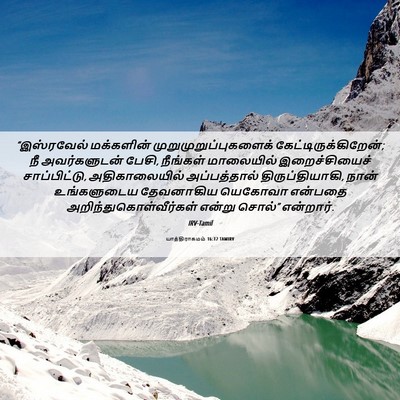 Picture 06 - யாத்திராகமம் 16:12 TAMIRV - “இஸ்ரவேல் - Bible Verse Picture