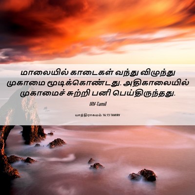 Picture 06 - யாத்திராகமம் 16:13 TAMIRV - மாலையில் காடைகள் - Bible Verse Picture