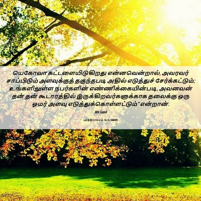 Picture 06 - யாத்திராகமம் 16:16 TAMIRV - யெகோவா - Bible Verse Picture