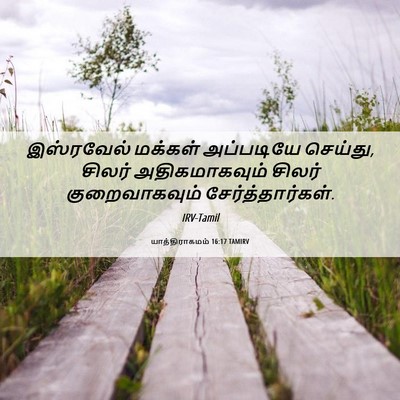 Picture 06 - யாத்திராகமம் 16:17 TAMIRV - இஸ்ரவேல் மக்கள் - Bible Verse Picture