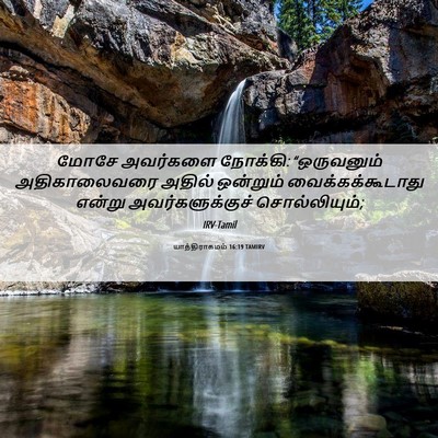 Picture 06 - யாத்திராகமம் 16:19 TAMIRV - மோசே அவர்களை - Bible Verse Picture