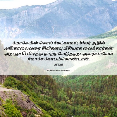 Picture 06 - யாத்திராகமம் 16:20 TAMIRV - மோசேயின் சொல் - Bible Verse Picture