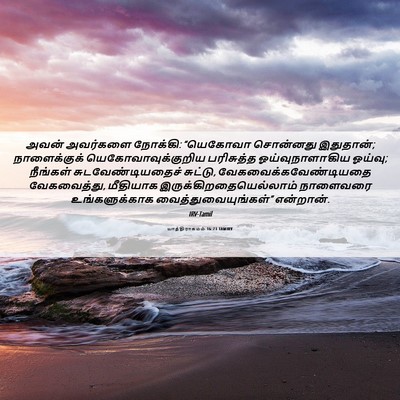 Picture 06 - யாத்திராகமம் 16:23 TAMIRV - அவன் அவர்களை - Bible Verse Picture