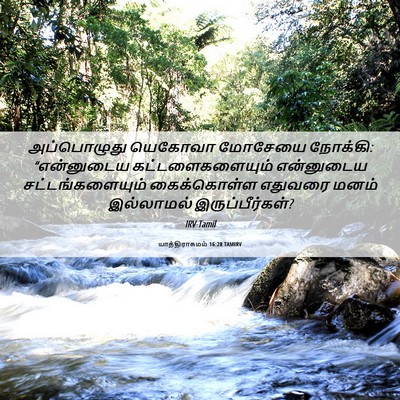 Picture 06 - யாத்திராகமம் 16:28 TAMIRV - அப்பொழுது யெகோவா - Bible Verse Picture