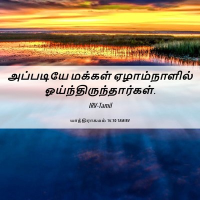 Picture 06 - யாத்திராகமம் 16:30 TAMIRV - அப்படியே மக்கள் - Bible Verse Picture