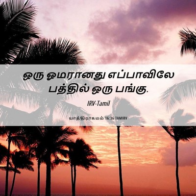 Picture 06 - யாத்திராகமம் 16:36 TAMIRV - ஒரு ஓமரானது - Bible Verse Picture