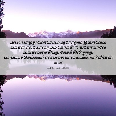 Picture 06 - யாத்திராகமம் 16:6 TAMIRV - அப்பொழுது - Bible Verse Picture