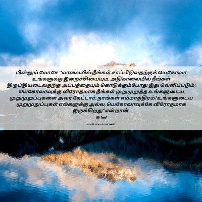 Picture 06 - யாத்திராகமம் 16:8 TAMIRV - பின்னும் மோசே: - Bible Verse Picture
