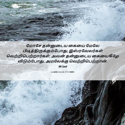 Picture 06 - யாத்திராகமம் 17:11 TAMIRV - மோசே தன்னுடைய - Bible Verse Picture