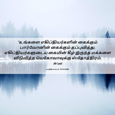 Picture 06 - யாத்திராகமம் 18:10 TAMIRV - “உங்களை - Bible Verse Picture