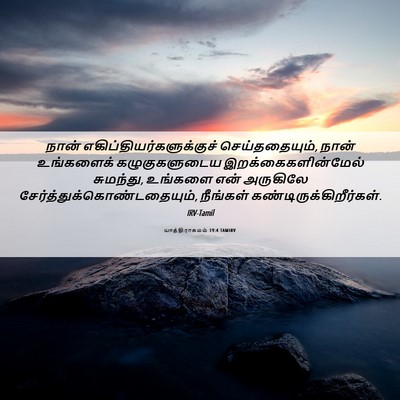Picture 06 - யாத்திராகமம் 19:4 TAMIRV - நான் - Bible Verse Picture