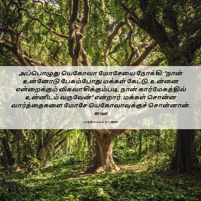 Picture 06 - யாத்திராகமம் 19:9 TAMIRV - அப்பொழுது யெகோவா - Bible Verse Picture