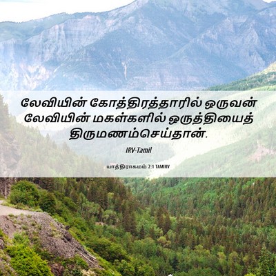 Picture 06 - யாத்திராகமம் 2:1 TAMIRV - லேவியின் - Bible Verse Picture