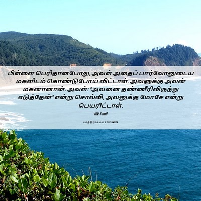 Picture 06 - யாத்திராகமம் 2:10 TAMIRV - பிள்ளை - Bible Verse Picture